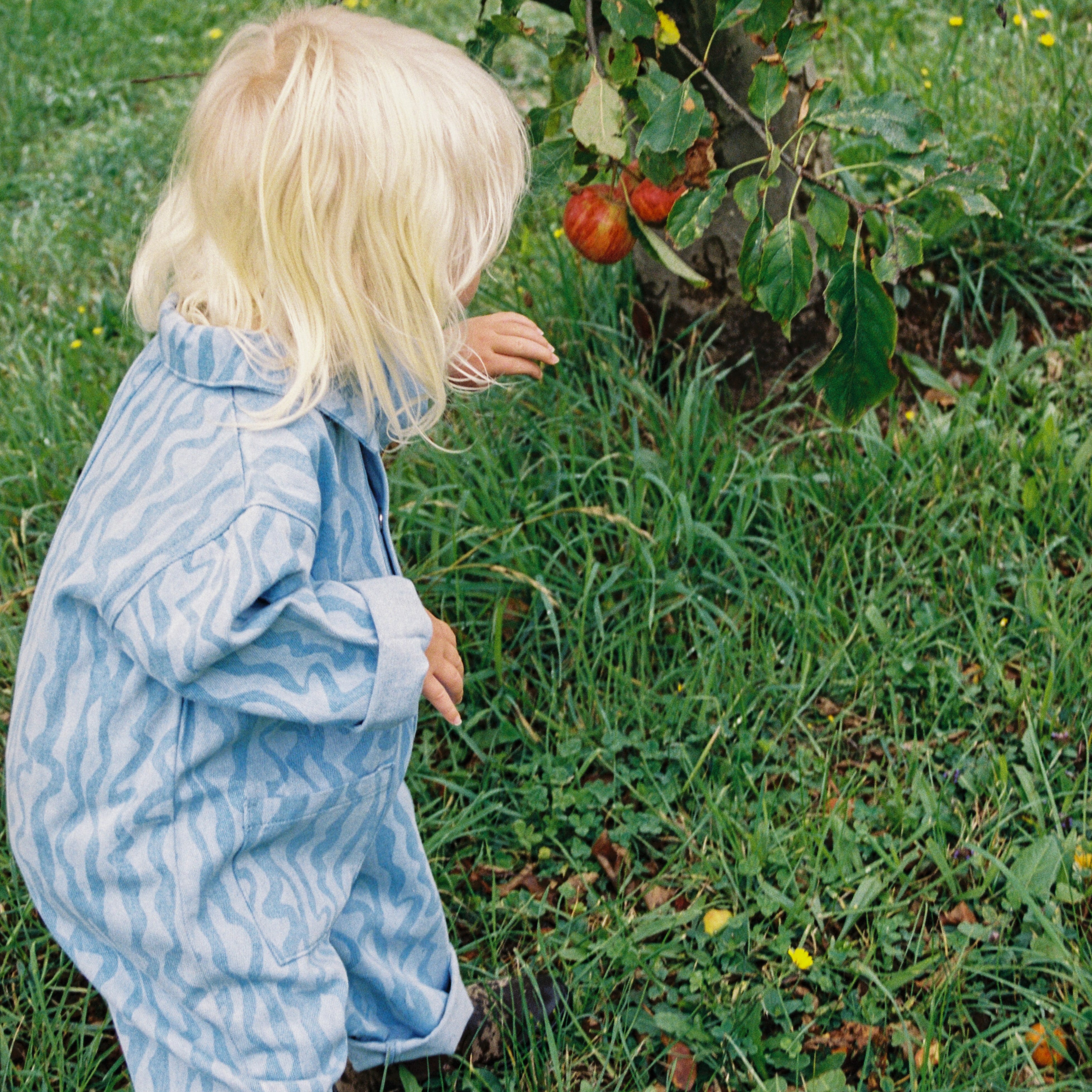 Grown Organic Flow Denim Boilersuit kids NZ