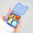 MontiiCo Bento Two lunchbox in Splash – open showing compartments