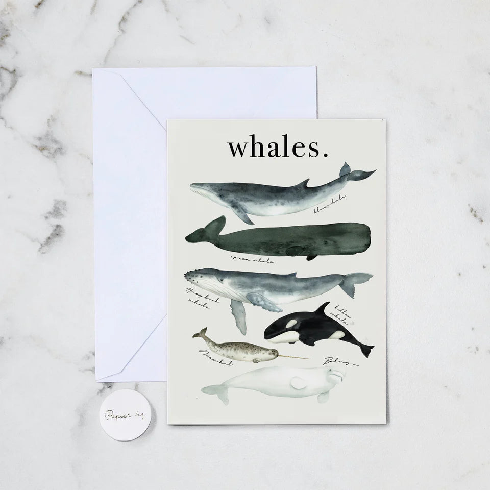 Papier HQ | Greeting Card | whatercolour | whales | White Fox & Co